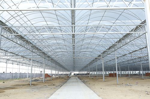 連棟薄膜溫室 現代高效農業建設選擇