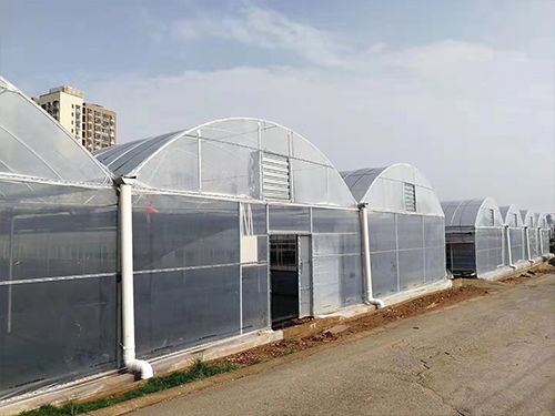 夢(mèng)洋溫室薄膜 專業(yè)訂制，助力花卉溫室高產(chǎn)高效